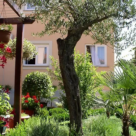 Amfora Rovinj